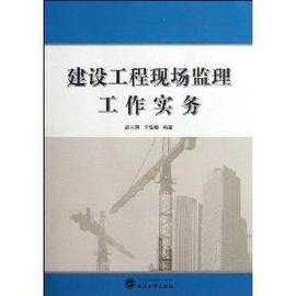 建設(shè)工程現(xiàn)場監(jiān)理工作實(shí)務(wù)——水運(yùn)工程監(jiān)理